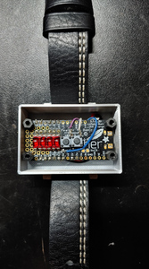 A silver plastic box with a leather strap. The front is open, showing the circuit board inside. There is a red indicator, two tact witches, and black nylon standoffs on the board.