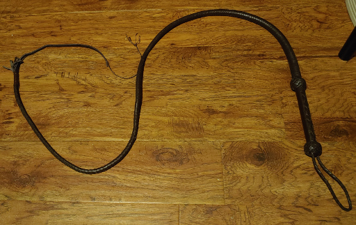 A six-foot-long brown leather whip.